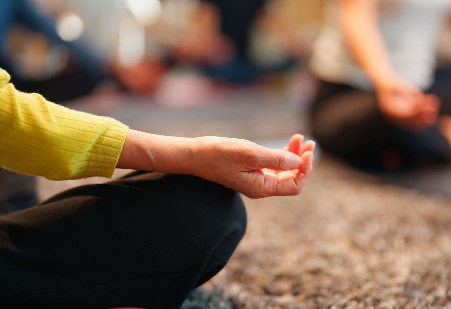 Courses in Meditation