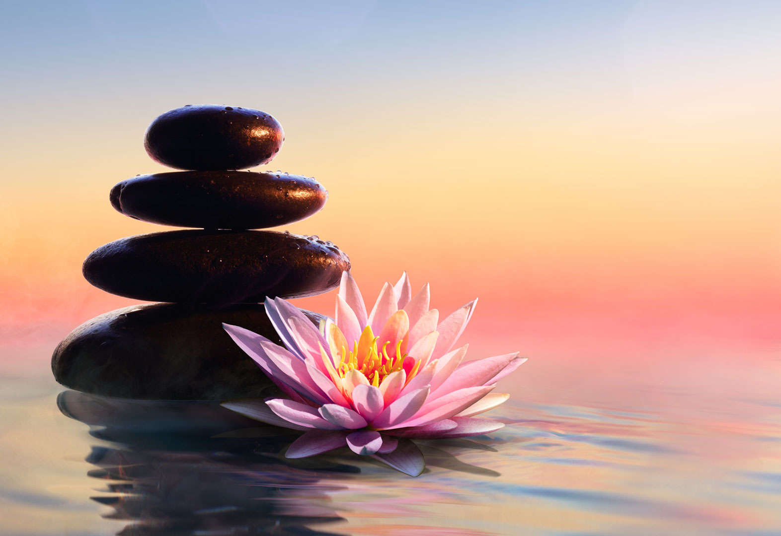 Courses in Spiritual Life Skills